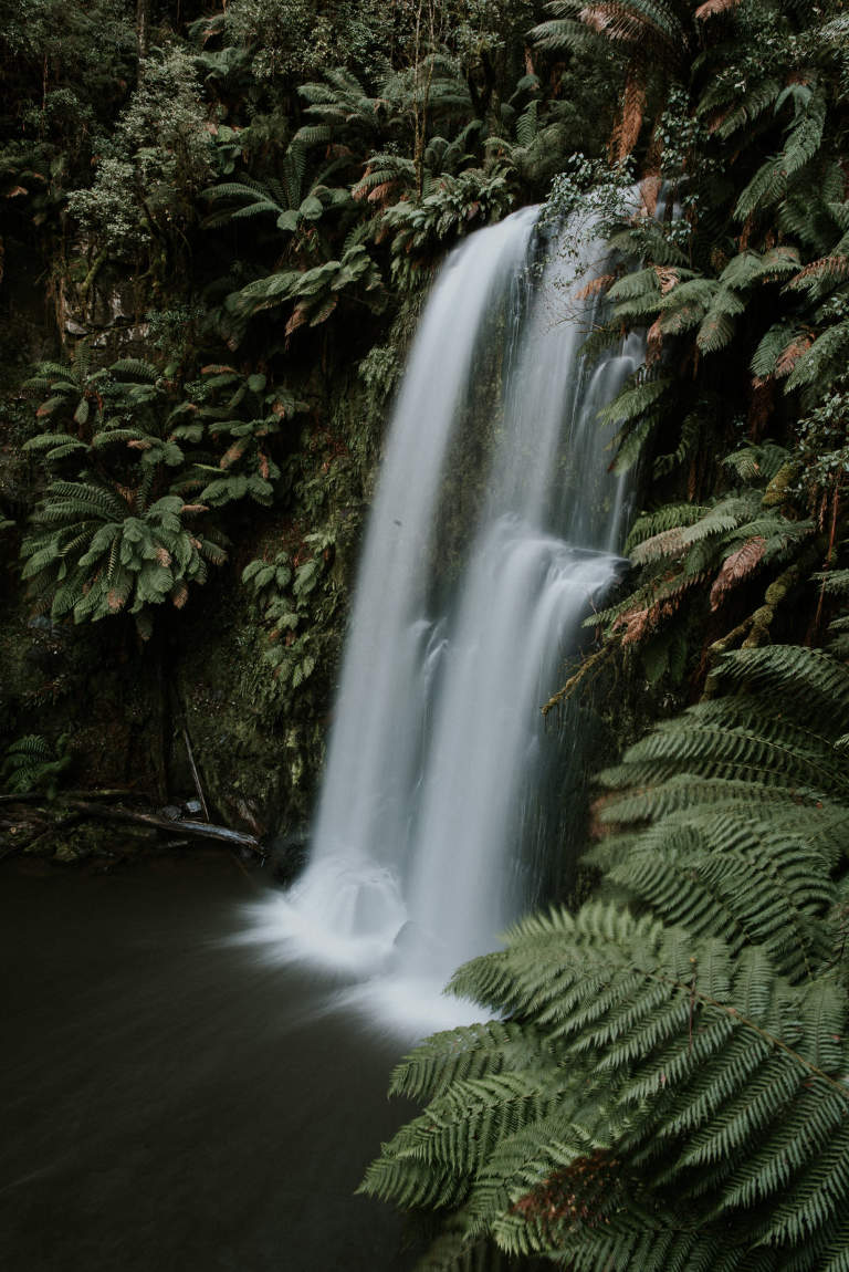 Beauchamp Falls in the Great Otway National Park