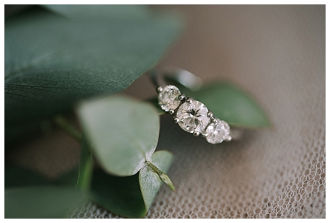 engagement ring with bluegum foliage