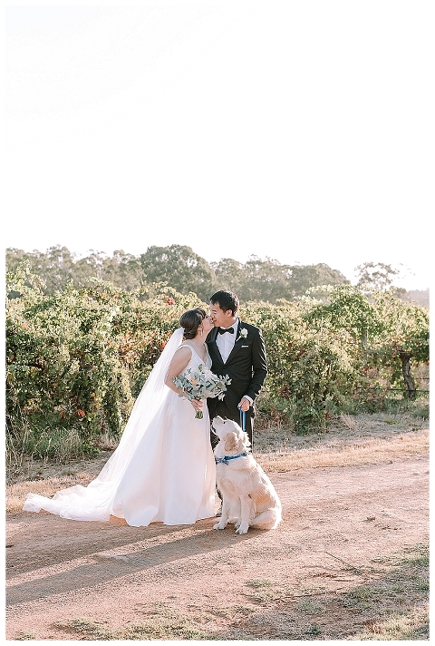 bride and groom kissing with golden retriever looking on