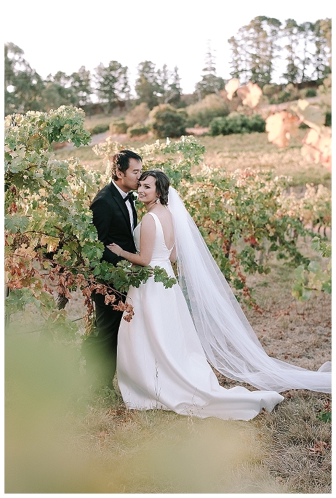 Bridal and Groom hugging in vineyard