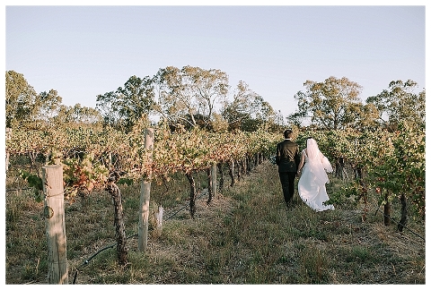 Bride and groom walking away in vineyard