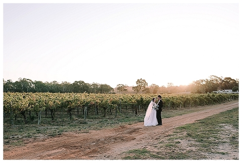 bridal and groom hugging sunset in vineyard