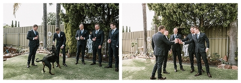 Groomsmen with beer and playing with dog