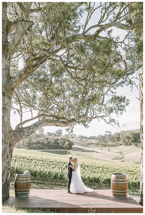 bride and groom kissing on deck overlooking golding wines vineyard