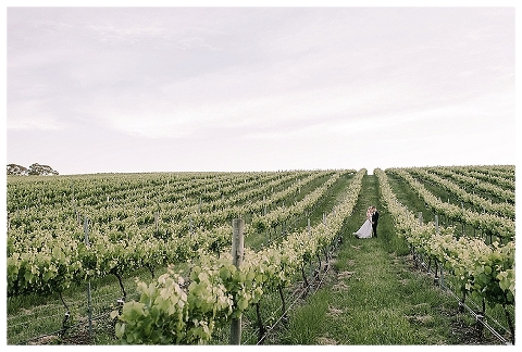 bride and groom in vineyard