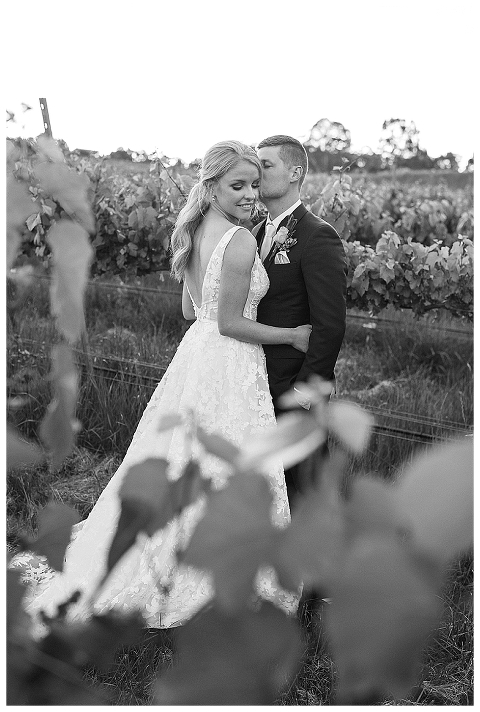 groom kissing brides head in vineyard